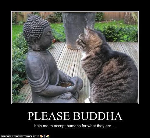 Buddha