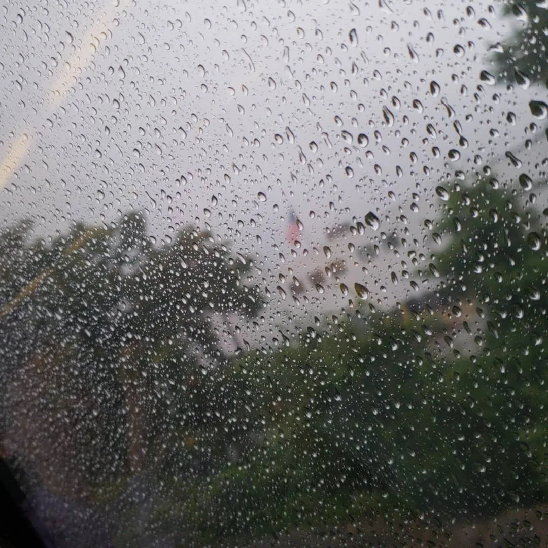 I call this one “freedom in the rain”