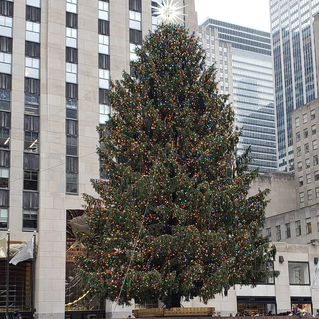 Friday, December 14th, 2019 – XMAS Tree