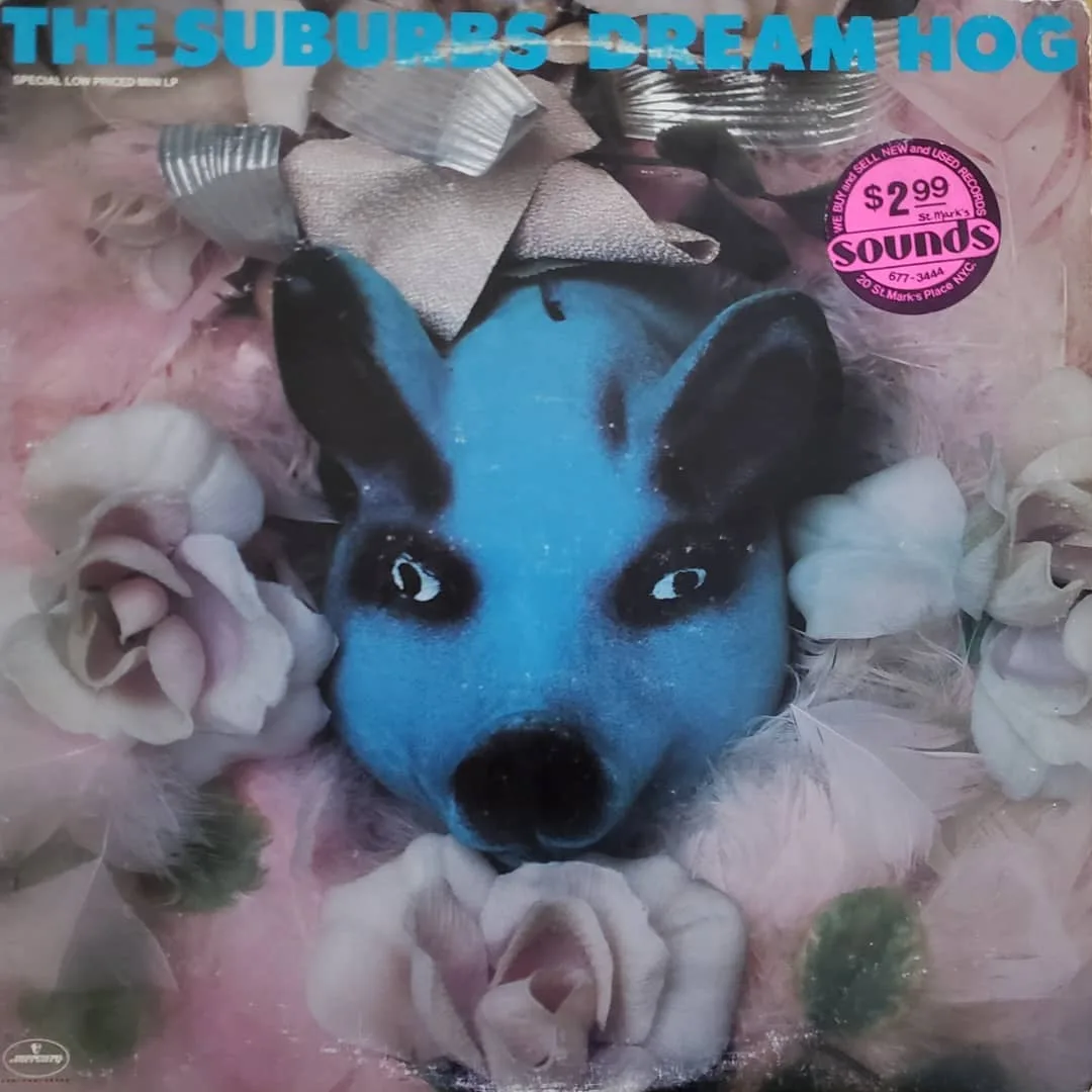 The Suburbs, Dream Hog, 1982 on Twin/Tone, 1983 on Mercury