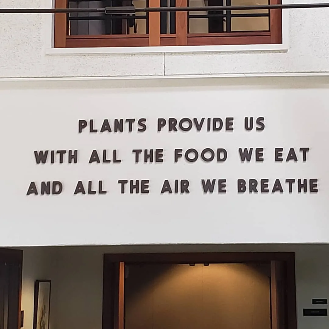 Sunday, October 20th, 2019 – Plants