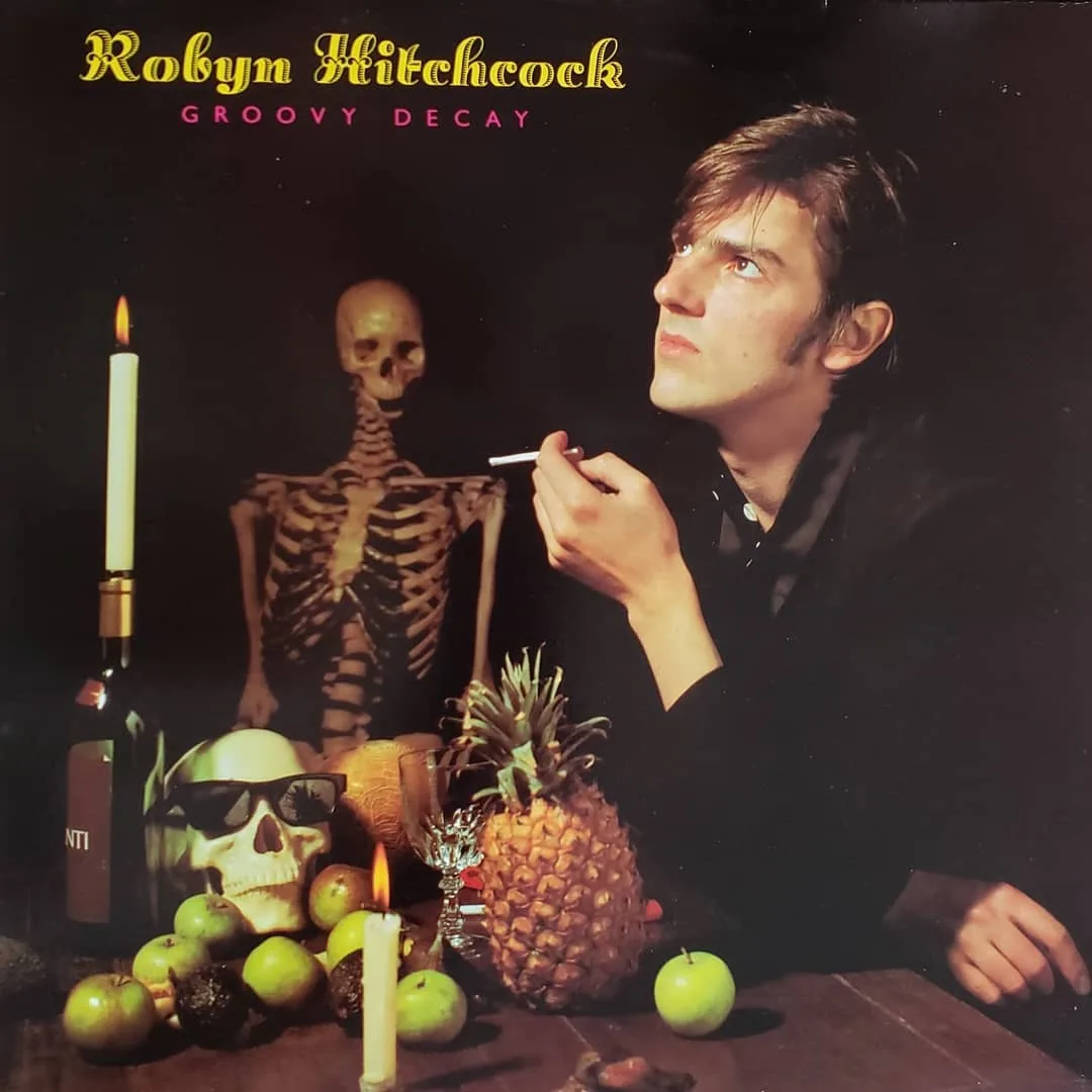 Robyn Hitchcock, Groovy Decay, 1982 on Albion.