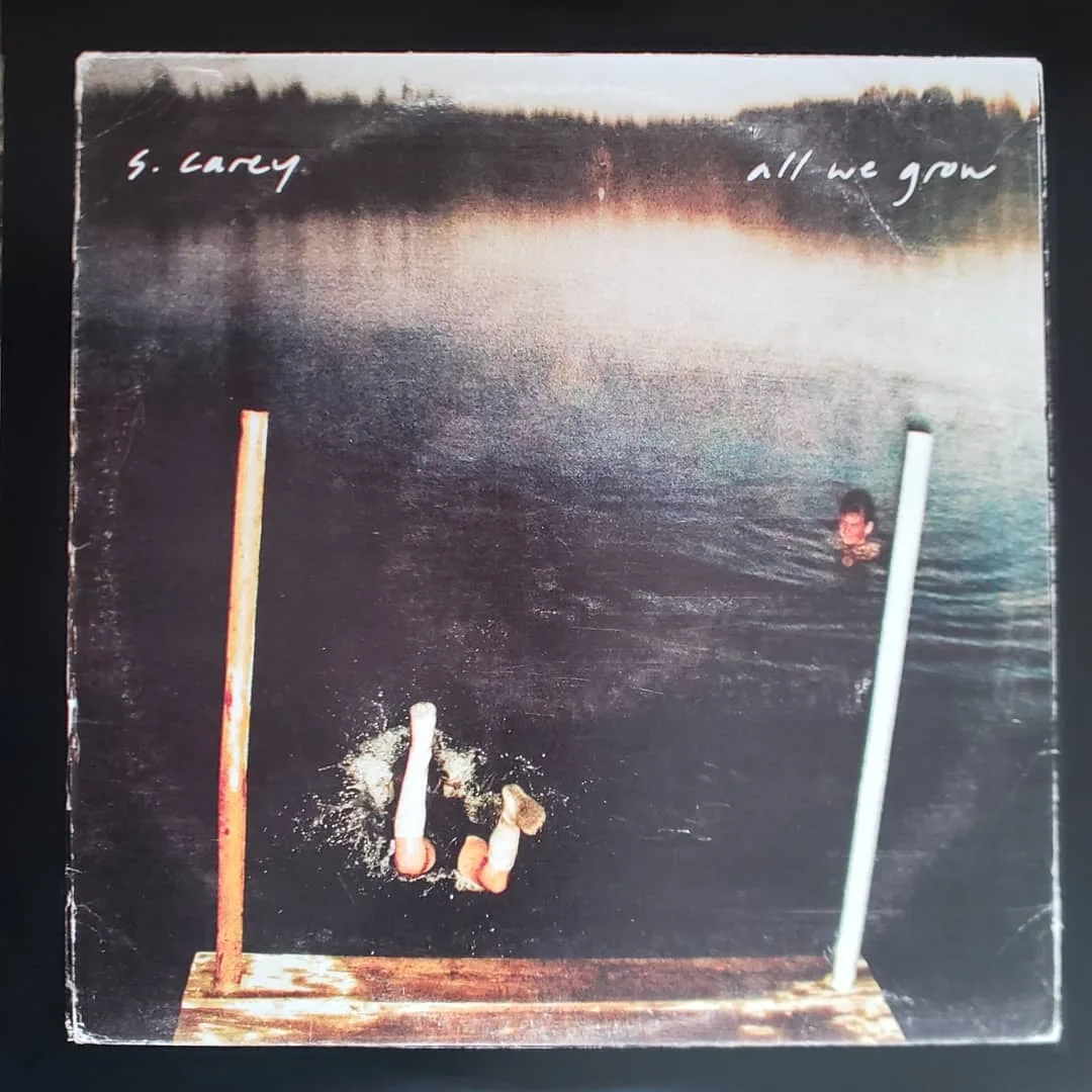S. Carey, All We Grow, 2010 on Jagjaguwar
