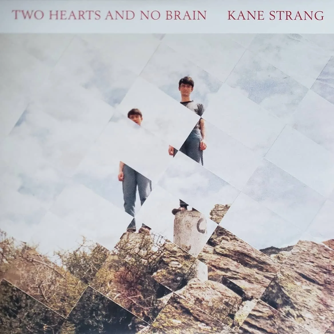 Kane Strang, Two Hearts and No Brain, 2017 on Dead Oceans