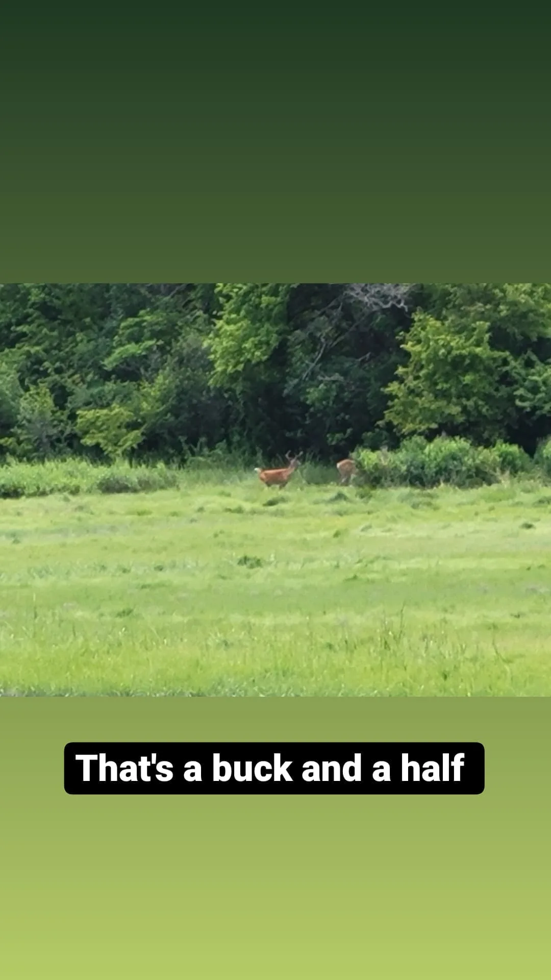 Wednesday, August 4th, 2021