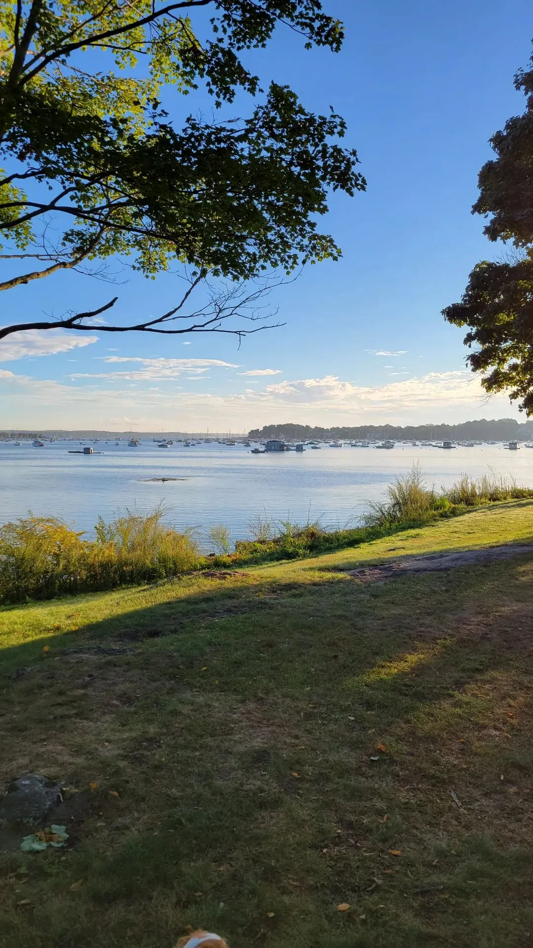 Thursday, September 8th, 2022 – Salem Harbor