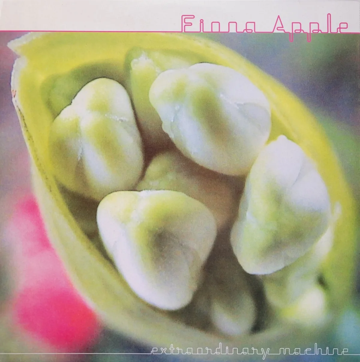 Fiona Apple, Extraordinary Machine, 2005 on Epic / Clean Slate