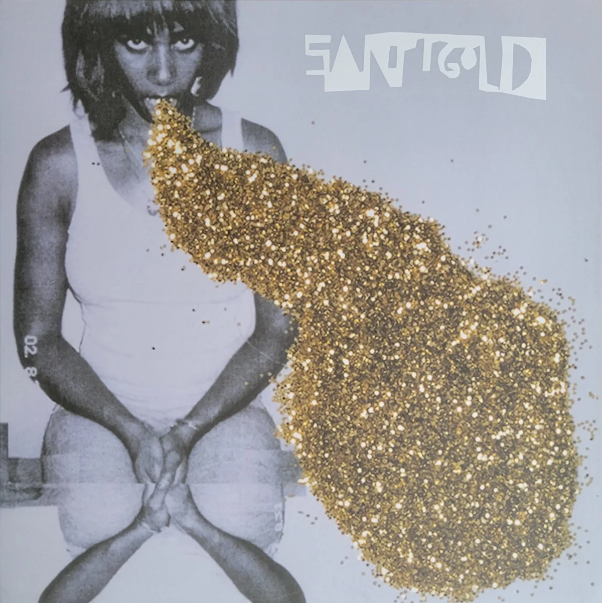 Santigold, Santigold, 2008 on Downtown / Lizard King