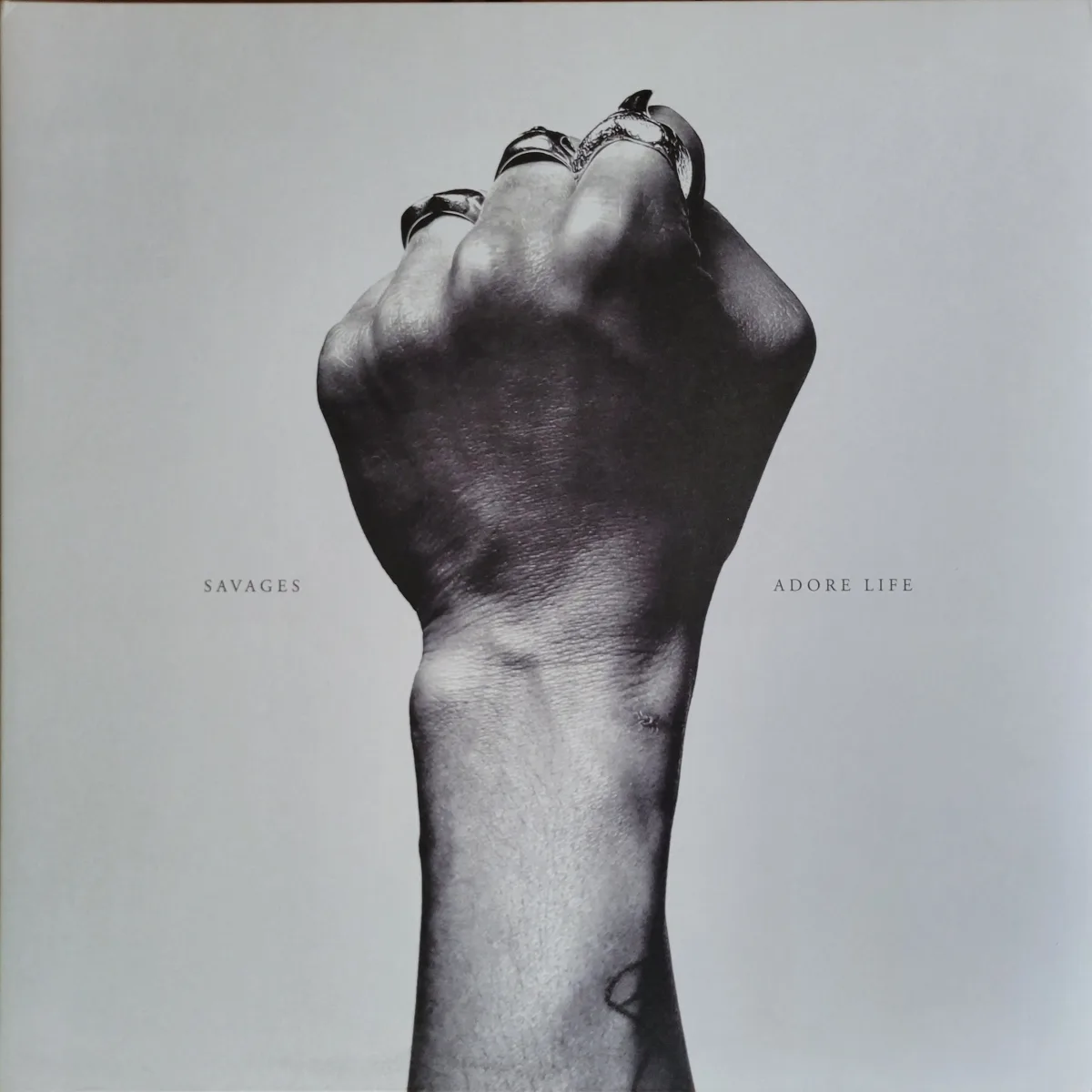 Savages, Adore Life, 2016 on Matador