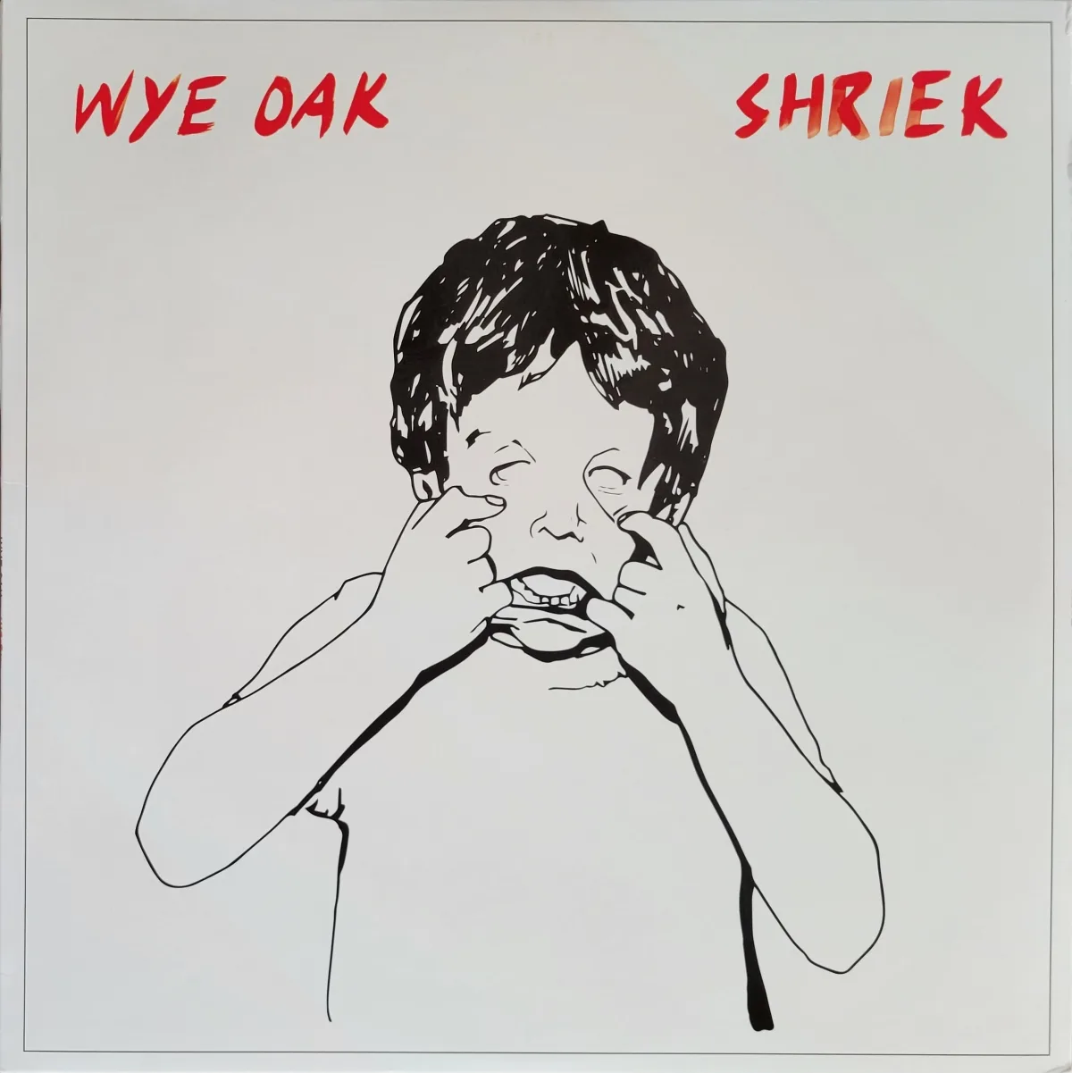 Wye Oak, Shriek, 2014 on Merge Records