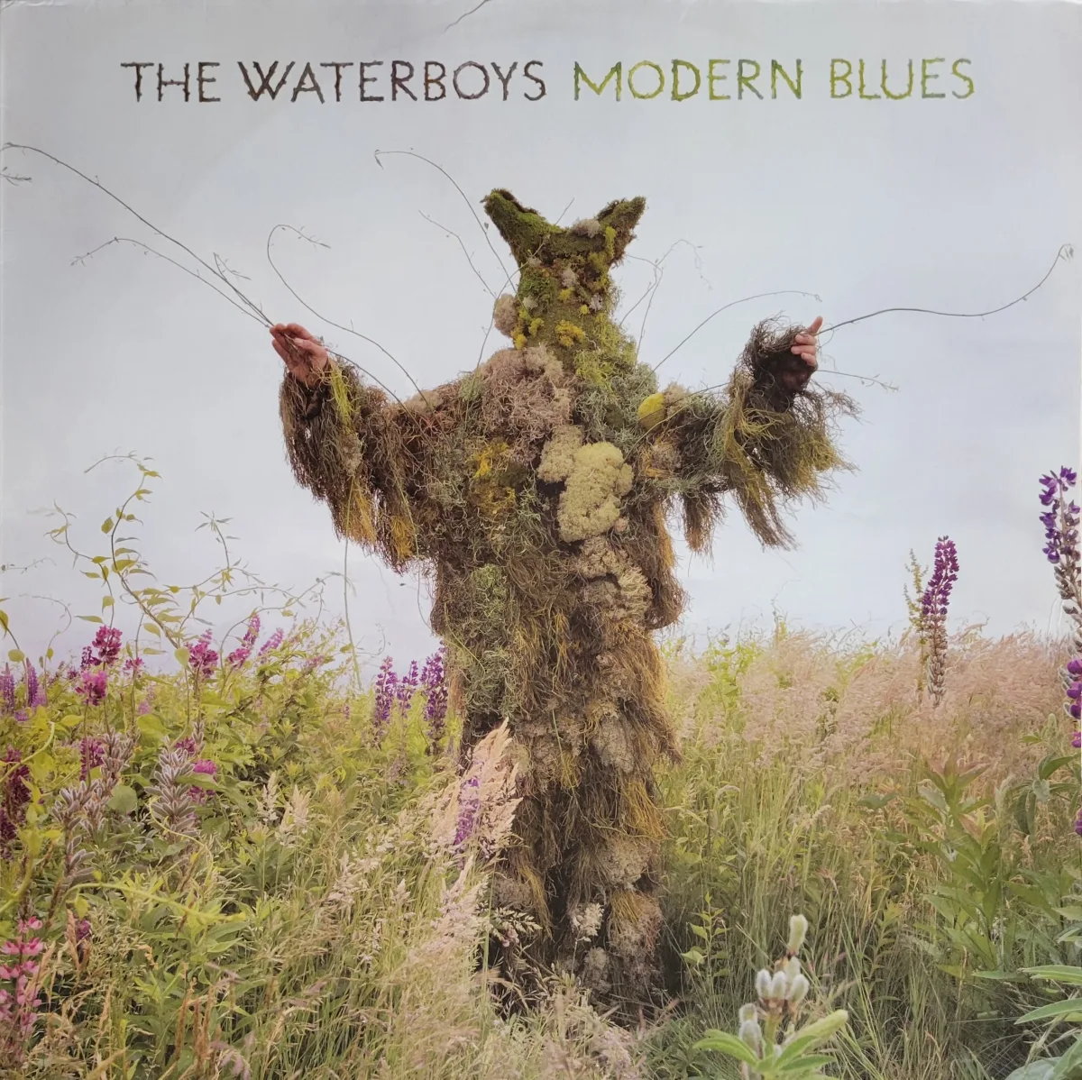 The Waterboys, Modern Blues, 2015 on Harlequin and Clown