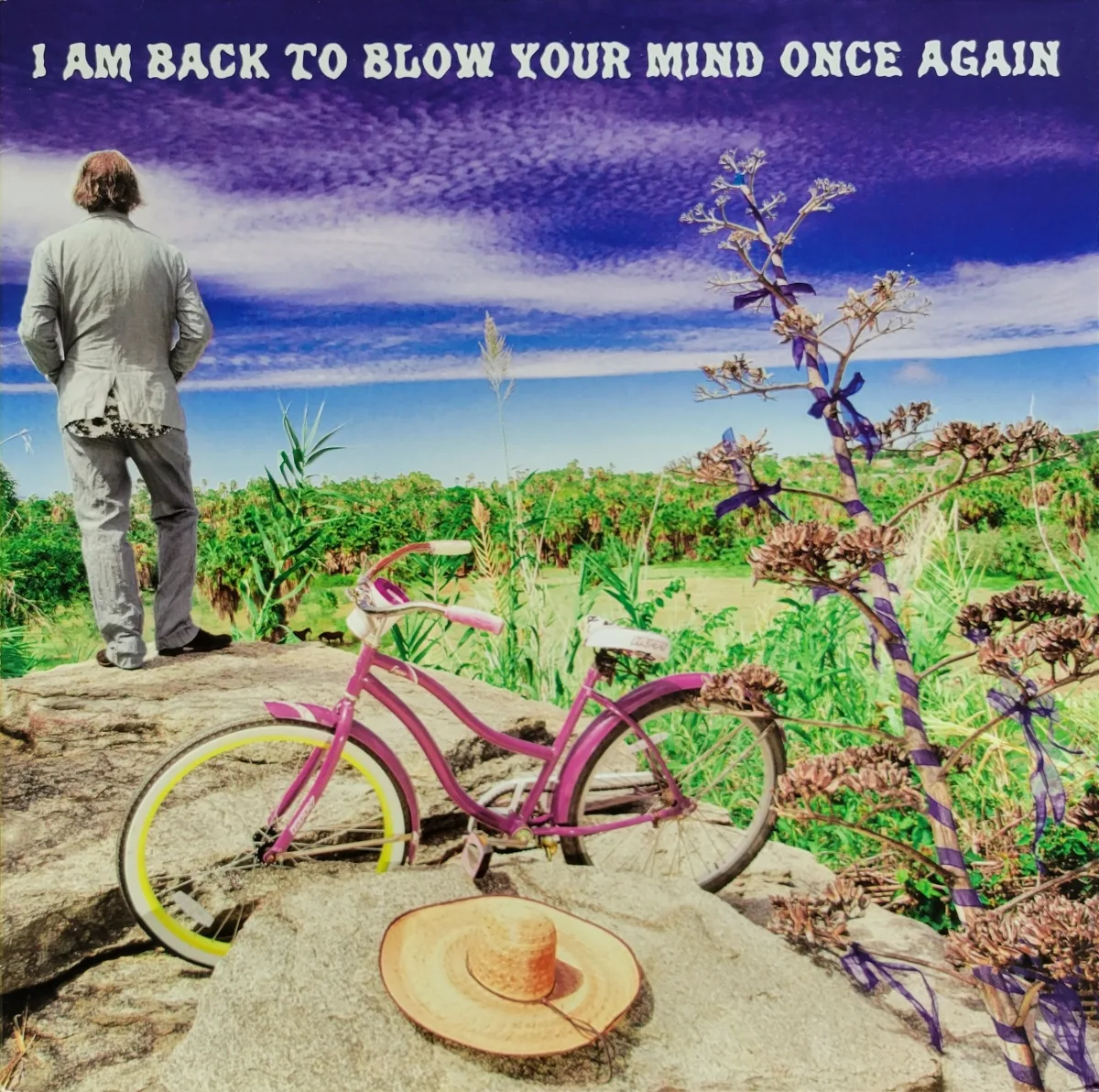Peter Buck, I Am Back to Blow Your Mind Once Again, 2014 on Mississippi/Change Records