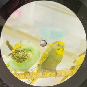 record label birds photo 