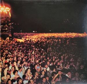 crowd in central park watching concert