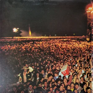 crowd in central park watching concert