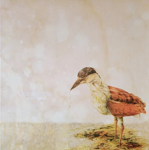 album cover - bird painting