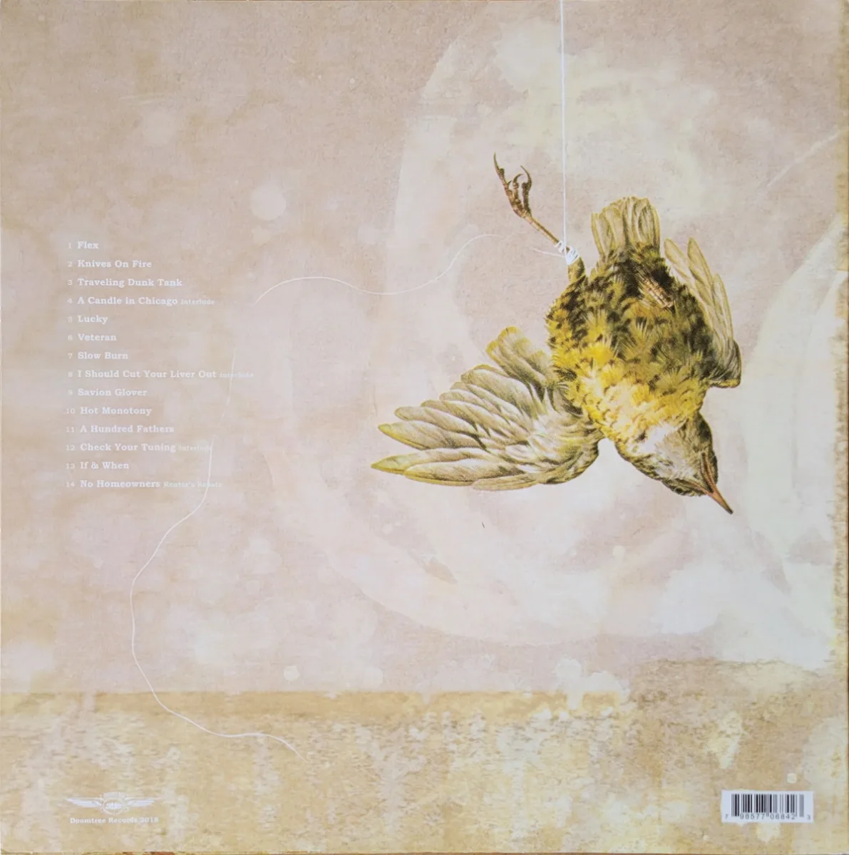 album cover - bird painting