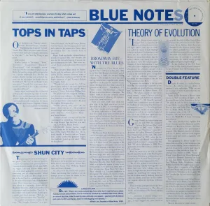 Custom inner sleeve - Blue Notes