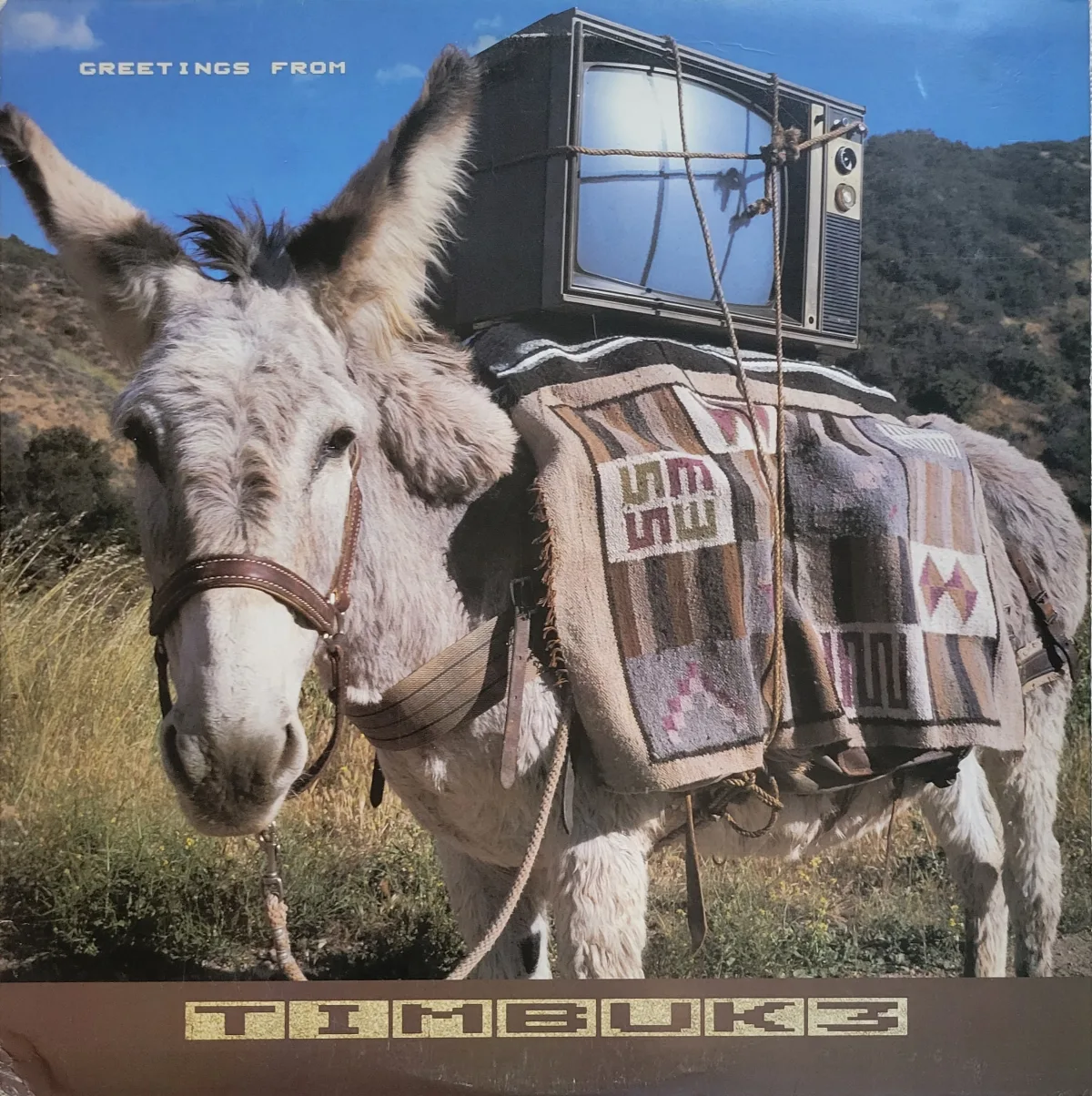 Timbuk 3, Greetings From Timbuk 3, 1986 on I.R.S. Records