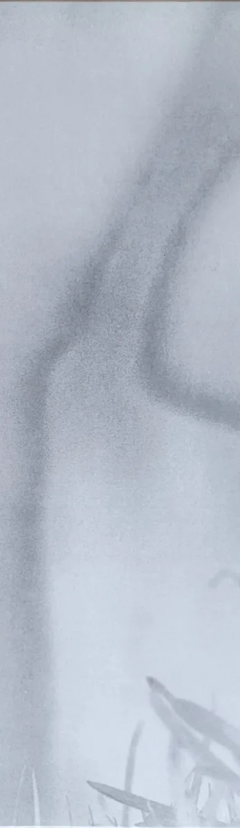 The Cure, Faith, 1981 on Fiction