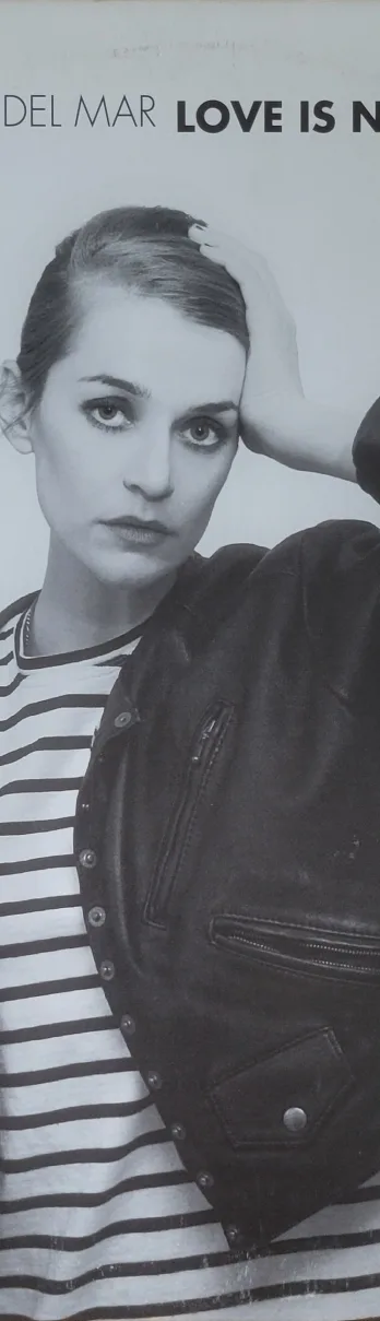 El Perro Del Mar, Love is Not Pop, 2009 on Control Group