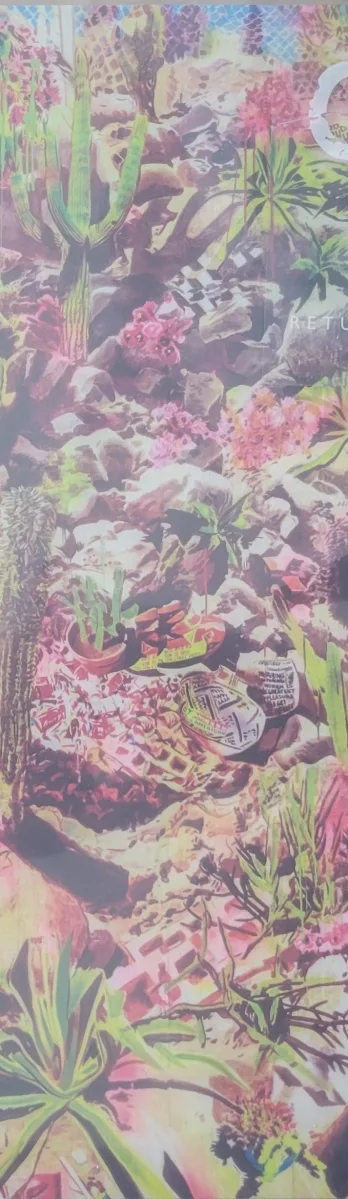 Giant Sand, Returns To Valley of Rain, 2018 on Fire Records